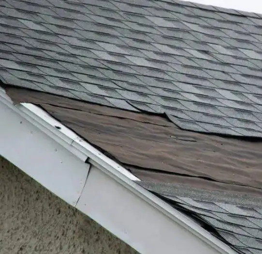 LEAKY ROOF